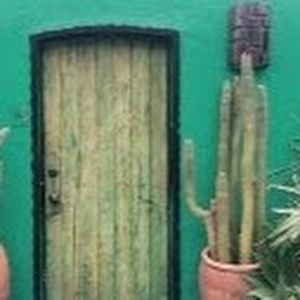 Meet your Posher, Denise